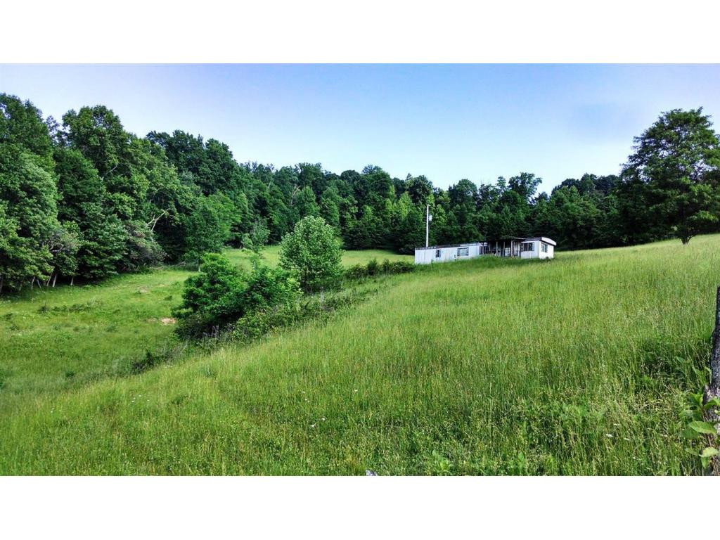 0 Lemons Road Eidson, TN 37731 - Photo 3 of 6 Photo 3