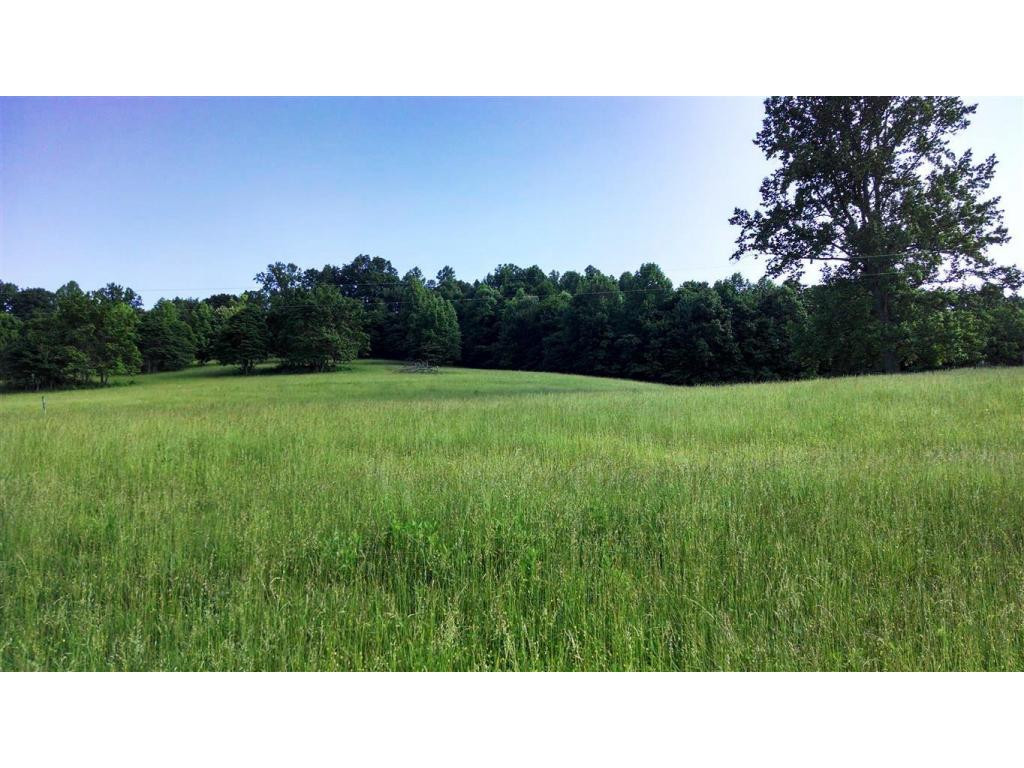 0 Lemons Road Eidson, TN 37731 - Photo 4 of 6 Photo 4