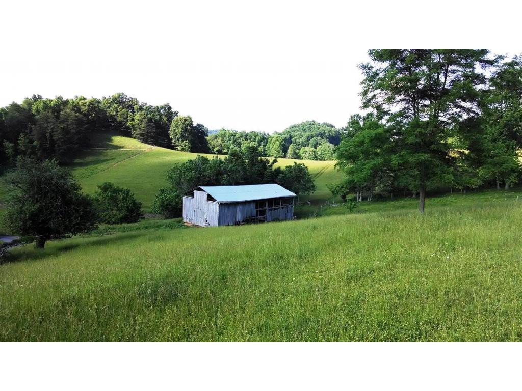 0 Lemons Road Eidson, TN 37731 - Photo 5 of 6 Photo 5