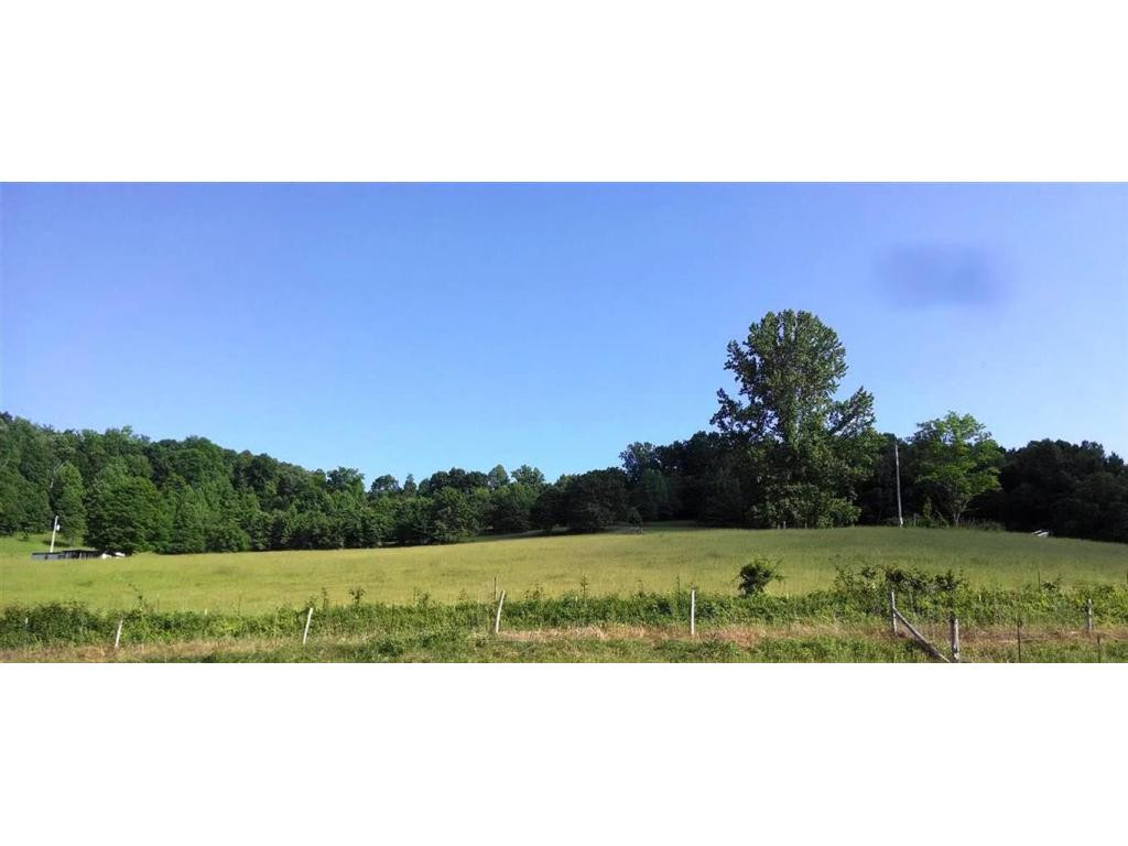 0 Lemons Road Eidson, TN 37731 - Photo 6 of 6 Photo 6