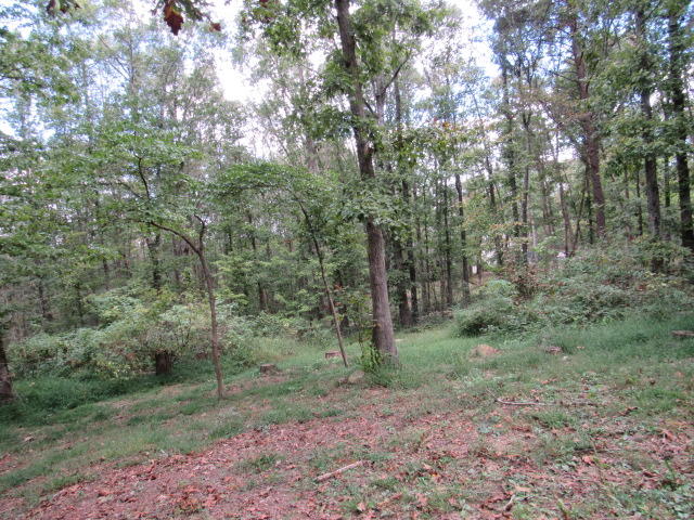 138 Lookout Drive Rising Fawn, GA 30738 - Photo 3 of 13 IMG_1377