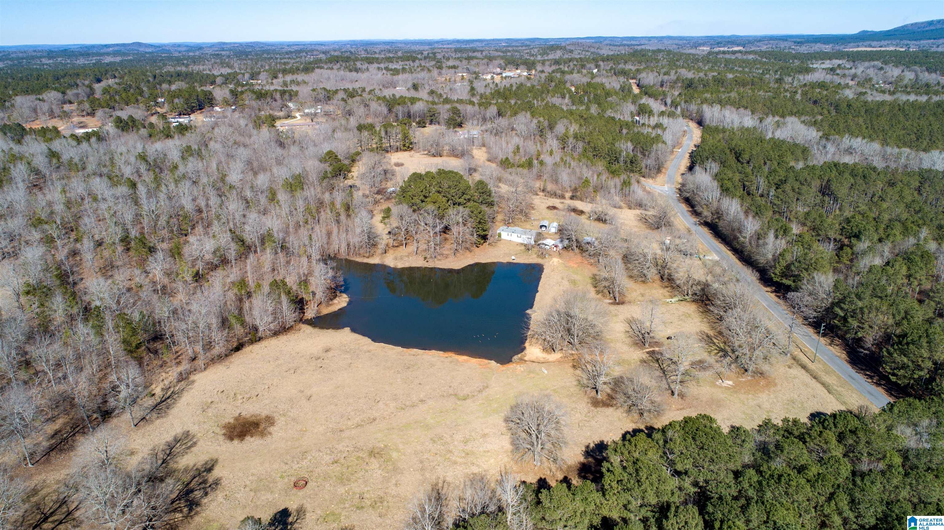 3086 Feddisburg Road, Unit ACREAGE SECTIONS 1 & 2 Alpine, AL 35014 - Photo 22 of 34