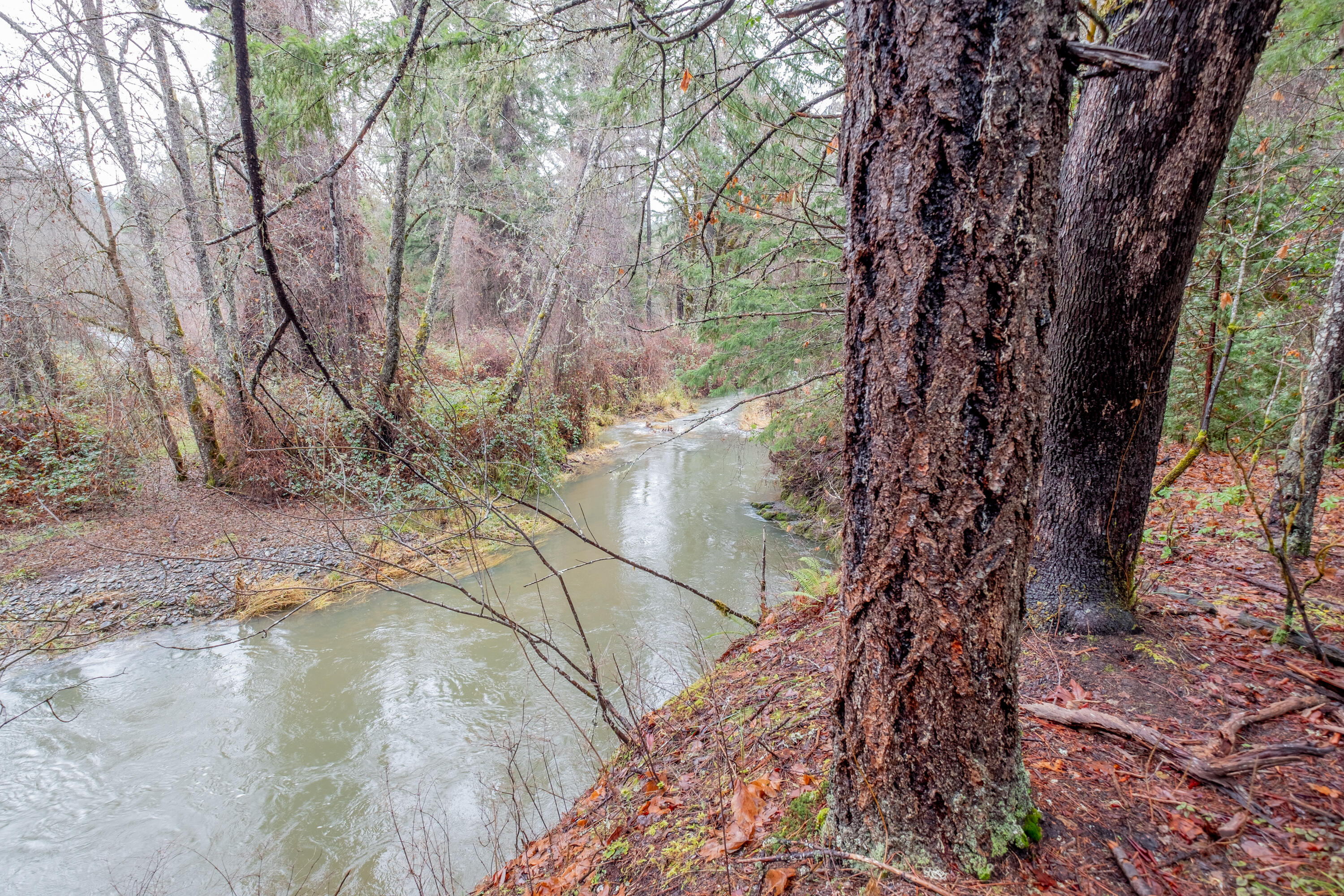 Pleasant Creek Road, Unit 122 Rogue River, OR 97537 - Photo 6 of 9 Lot 4 (2)