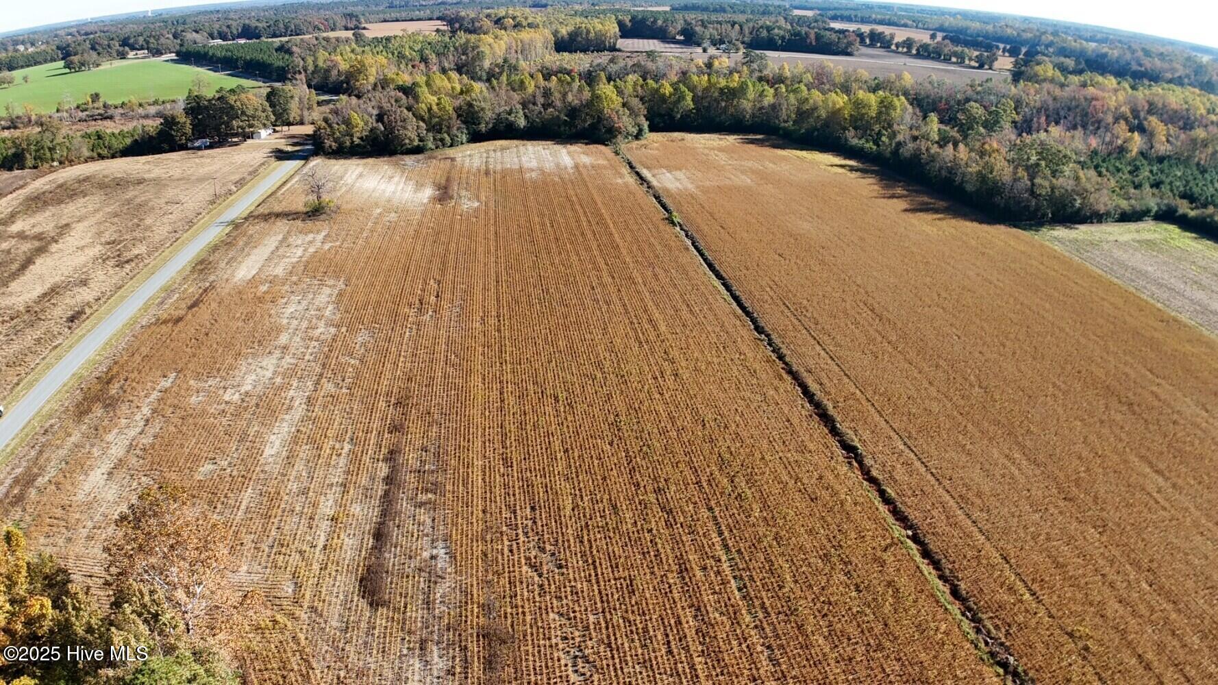 294 James Price Road Seven Springs, NC 28578 - Photo 12 of 13 690cf4e97a040