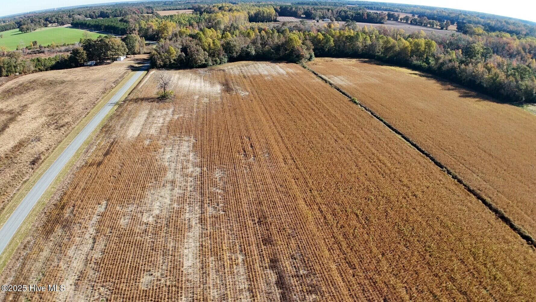 294 James Price Road Seven Springs, NC 28578 - Photo 13 of 13 690cf4e113343