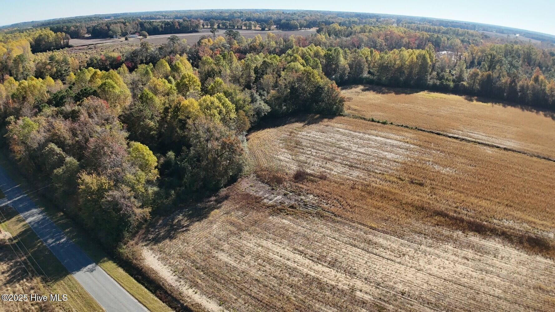 294 James Price Road Seven Springs, NC 28578 - Photo 5 of 13 690cf497d91b7