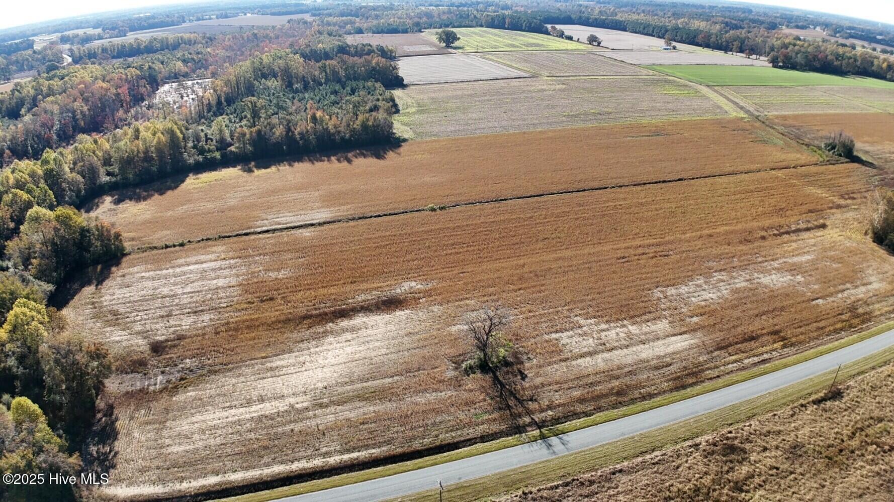 294 James Price Road Seven Springs, NC 28578 - Photo 7 of 13 690cf4babff7d