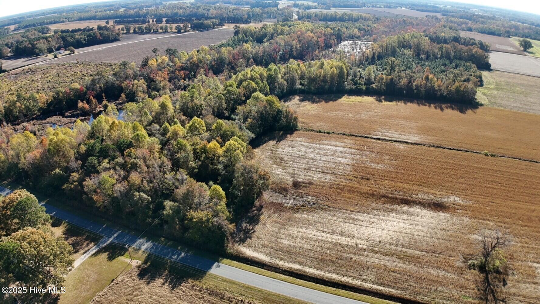 294 James Price Road Seven Springs, NC 28578 - Photo 8 of 13 690cf4c0e1f16