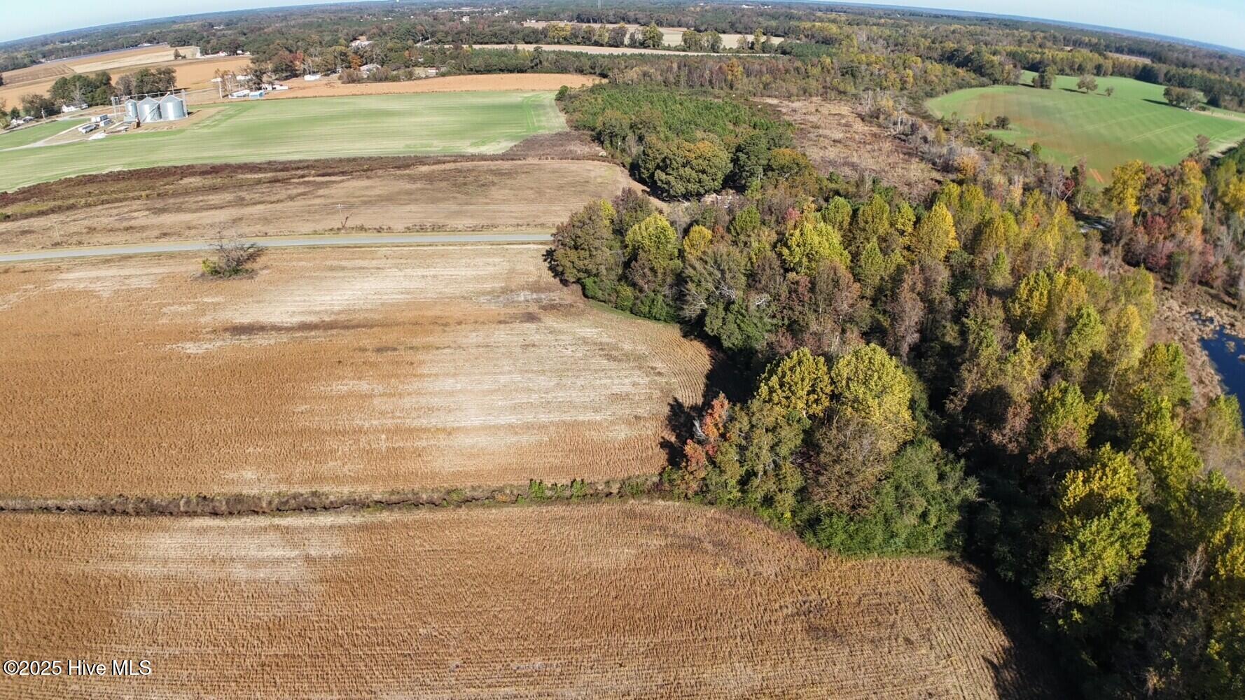 294 James Price Road Seven Springs, NC 28578 - Photo 9 of 13 690cf4c770e67