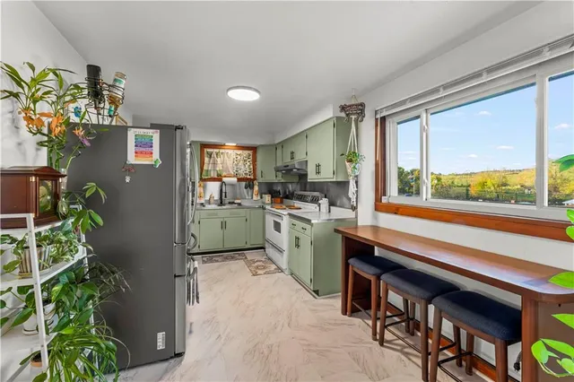 a kitchen with appliances cabinets and a potted plant