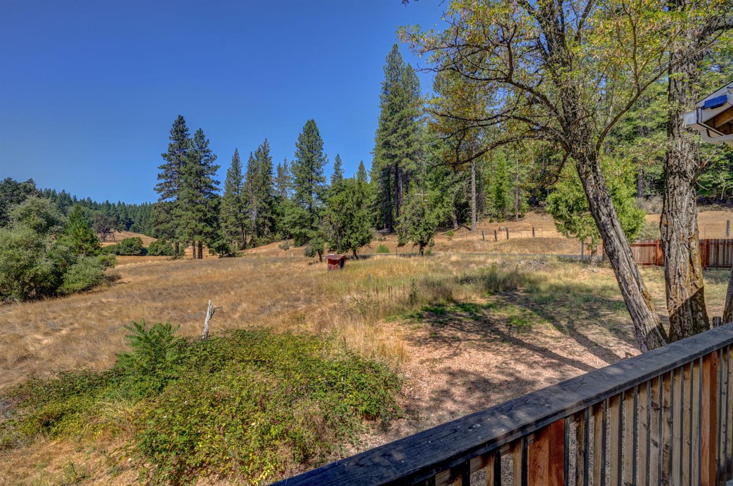 716 Railroad Flat Road Mokelumne Hill, CA 95245 - Photo 37 of 39