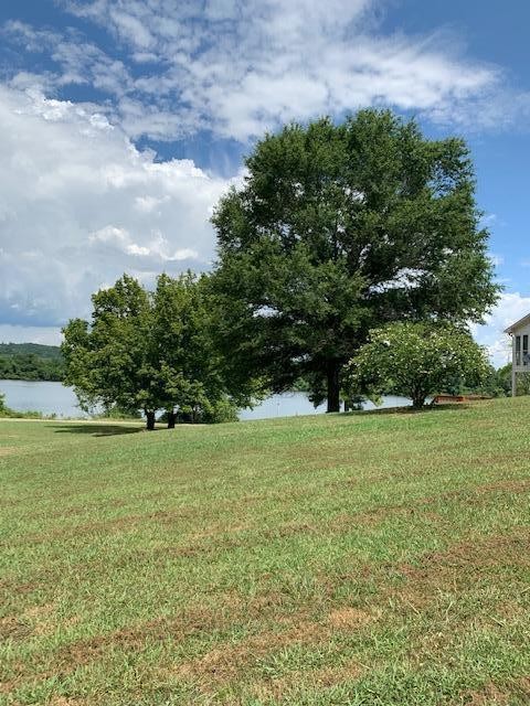 710732 Layman Circle Decatur, TN 37322 - Photo 3 of 3