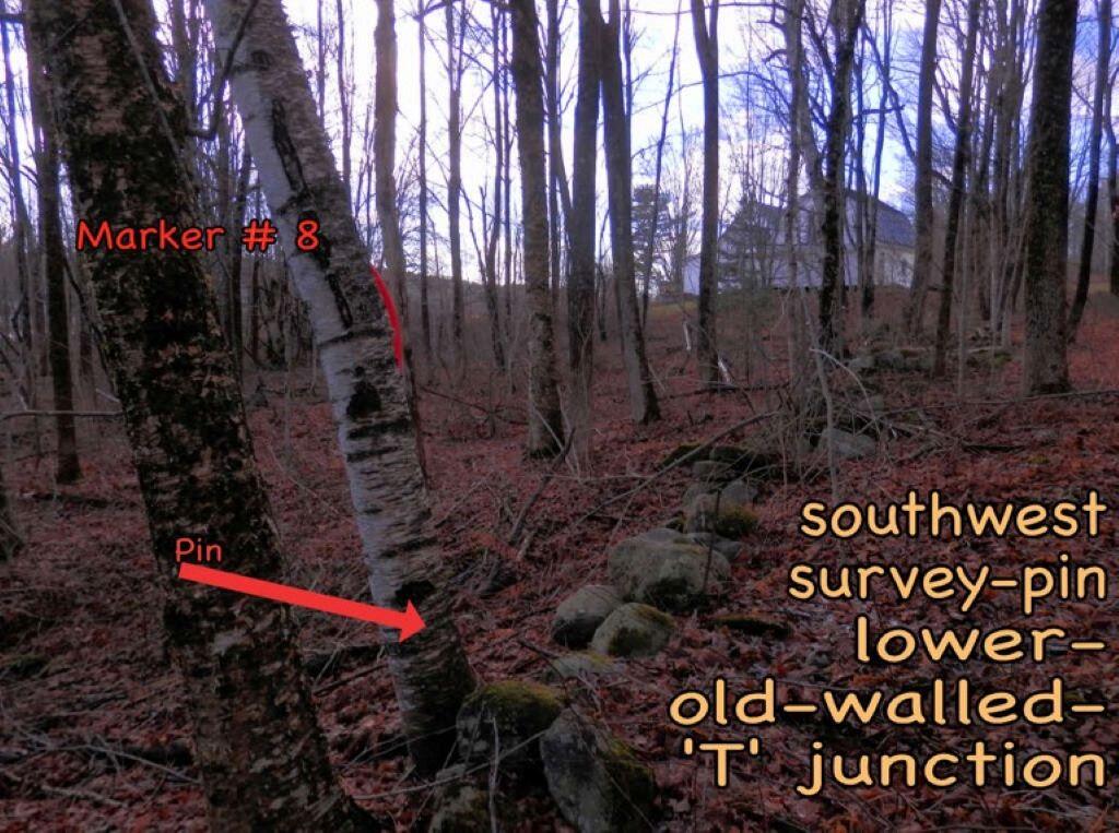 Lot 26-1 Stagecoach Road Liberty, ME 04949 - Photo 11 of 20 Marker 8