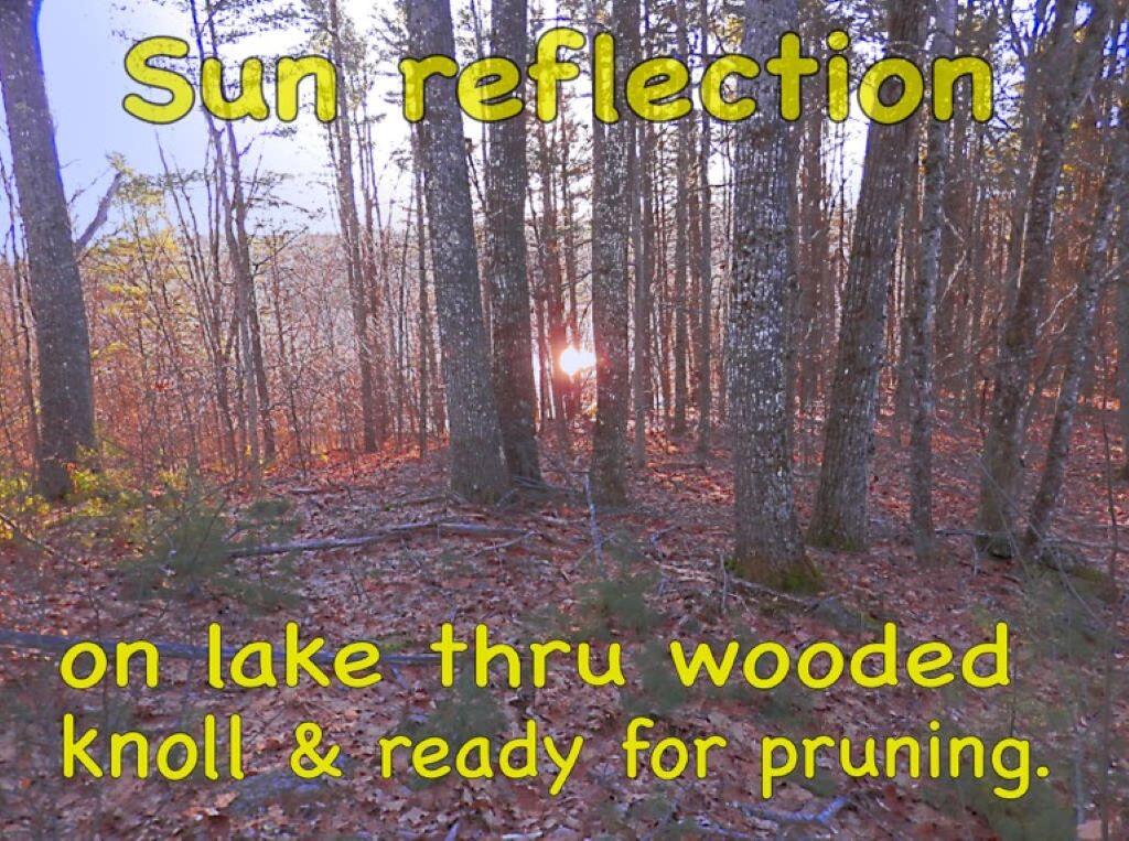 Lot 26-1 Stagecoach Road Liberty, ME 04949 - Photo 15 of 20 View of lake through trees