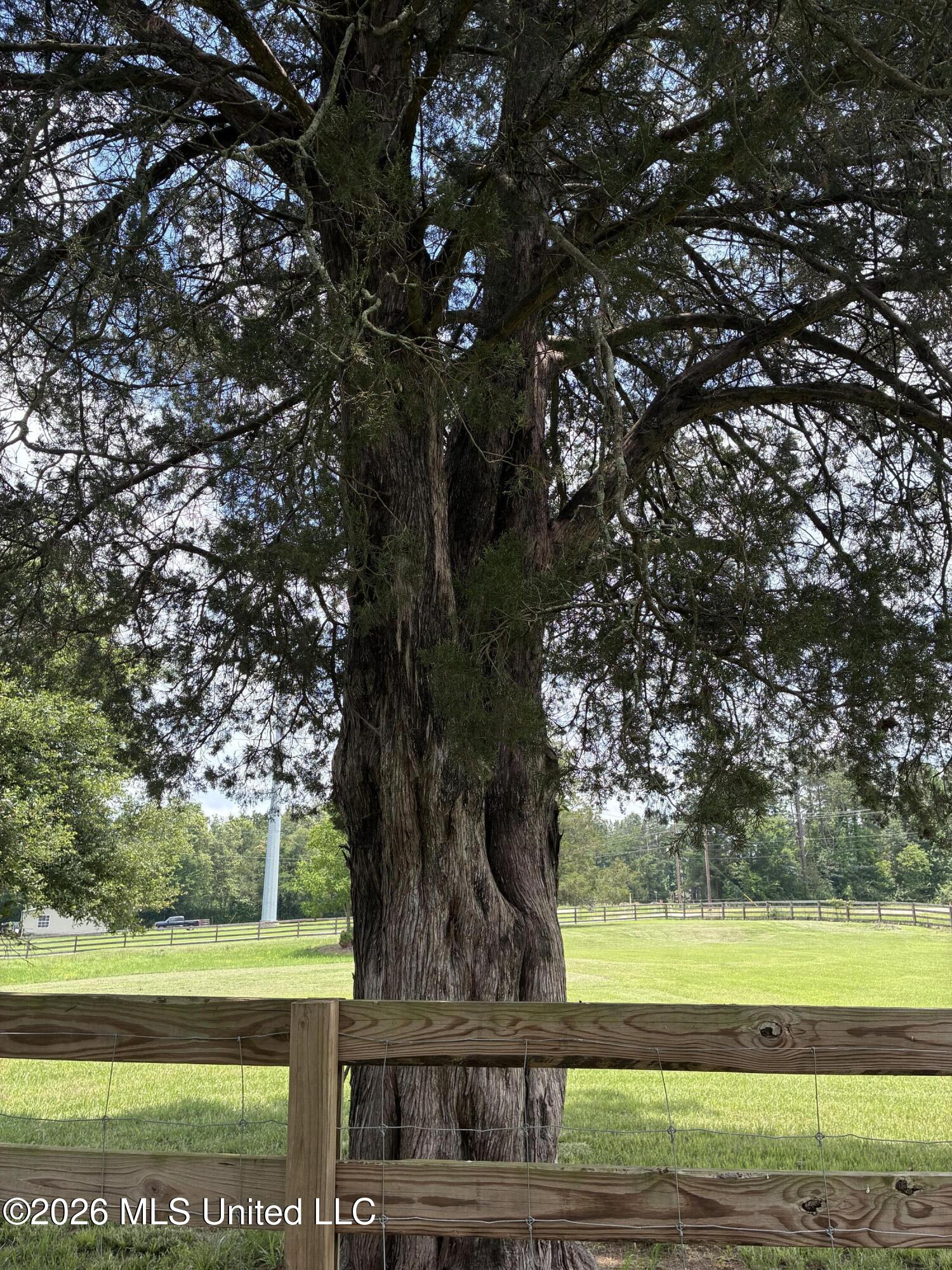 5988 Henderson Road Pearl, MS 39208 - Photo 52 of 72 IMG_0548