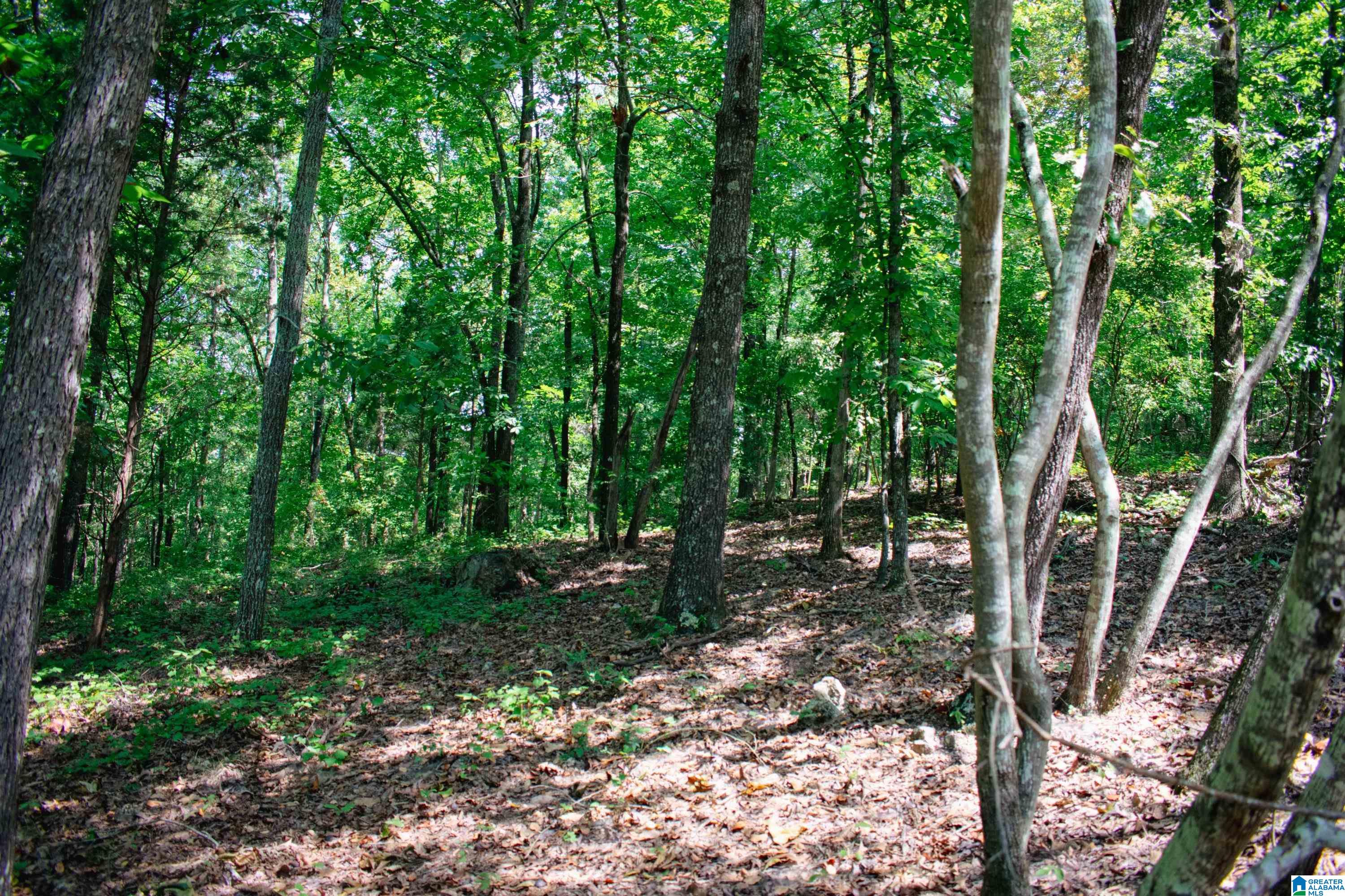 0 Mountain View Terrace, Unit 11 Talladega, AL 35160 - Photo 3 of 11