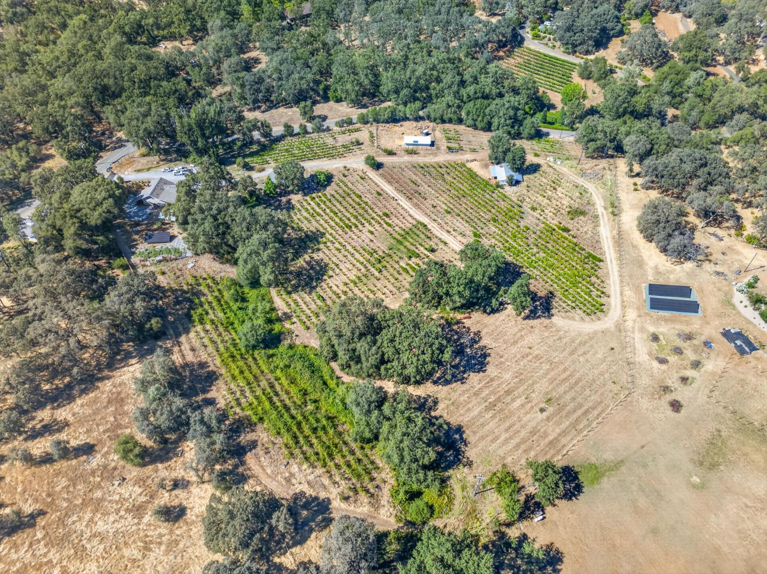 2402 Deer Valley Road Rescue, CA 95672 - Photo 79 of 88