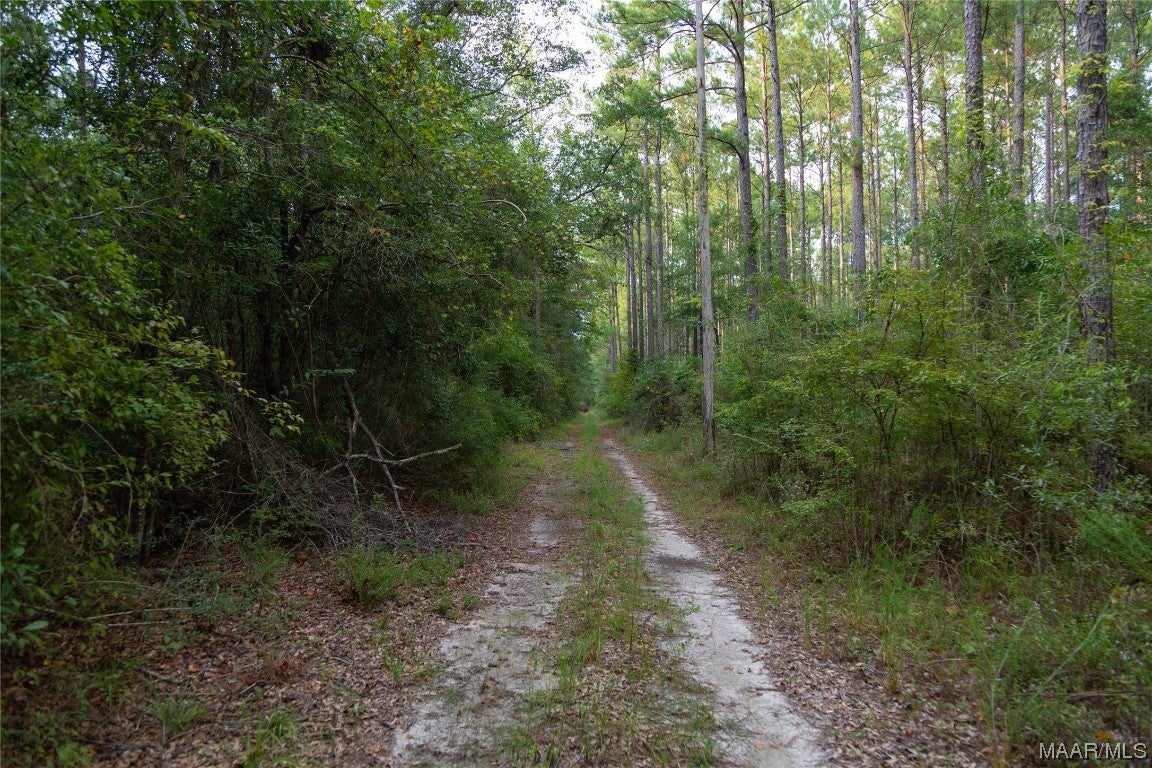 10 County Road 10 Samson, AL 36477 - Photo 12 of 22 Gallery Image 12