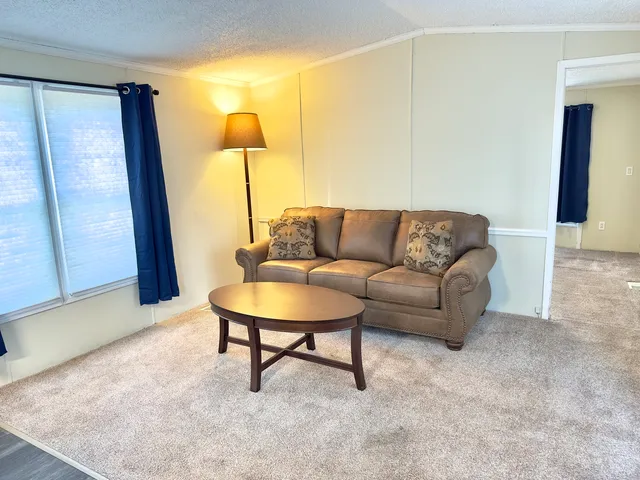 a living room with furniture and a rug