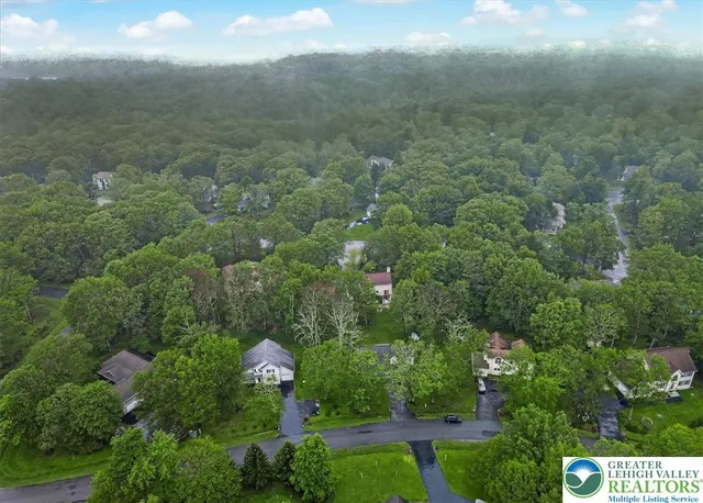 a view of a green yard with large trees
