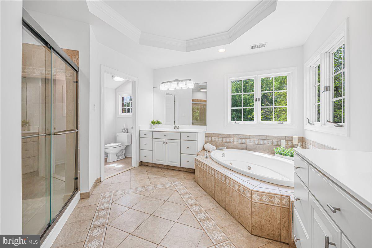 9653 Watkins Road Gaithersburg, MD 20882 - Photo 46 of 70 Spa bath