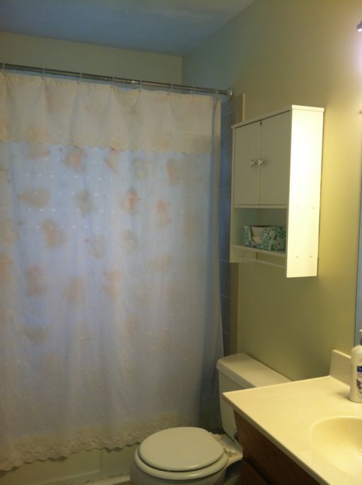 7336 Carpenter Road Knoxville, TN 37931 - Photo 14 of 19 Additional Photo