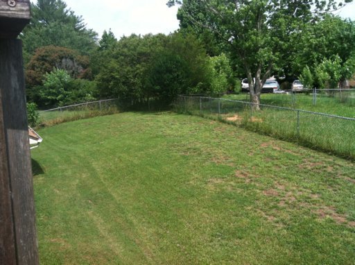 7336 Carpenter Road Knoxville, TN 37931 - Photo 18 of 19 Additional Photo