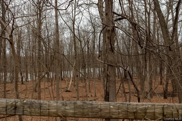a view of a yard with trees