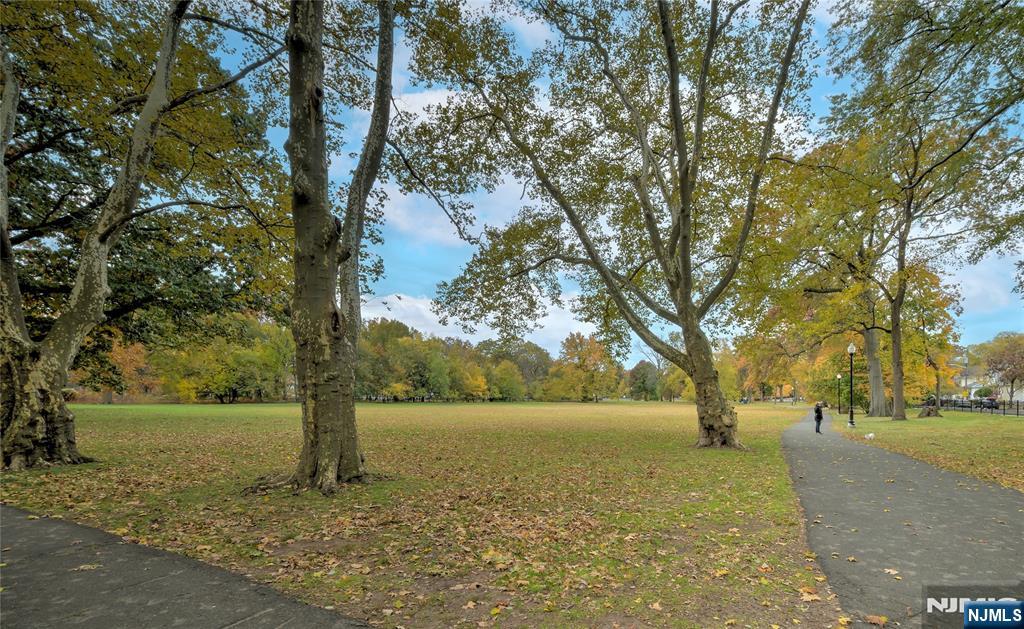 43 Llewellyn Avenue Bloomfield, NJ 07003 - Photo 25 of 25 a view of outdoor space with trees