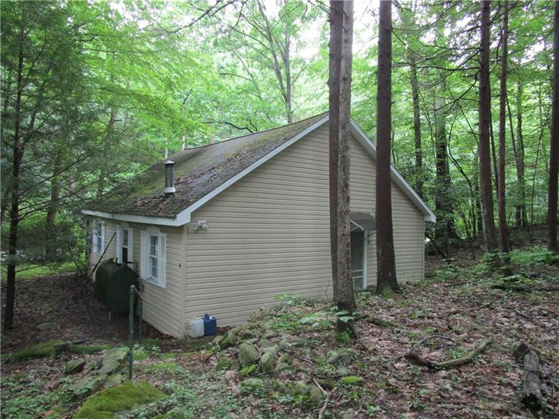1109 Linn Run Road Rector, PA 15677 - Photo 3 of 11 Gallery Image 3