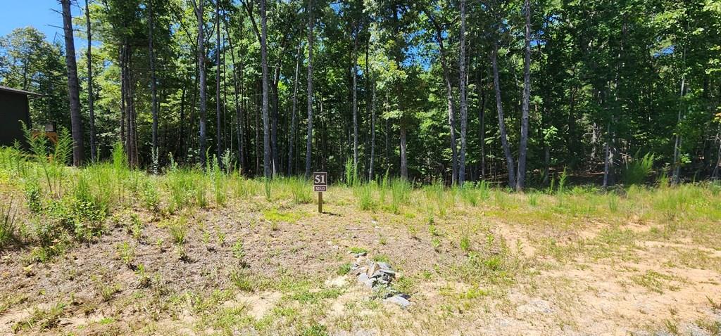 Lot 51 Ridge Drive Morganton, GA 30560 - Photo 1 of 6 a backyard of a house with a yard and large trees