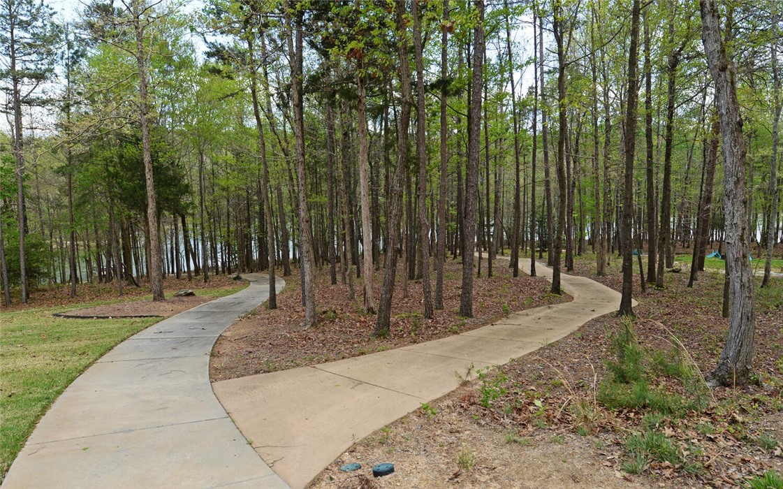 Lot 11 Paynes Creek Road Hartwell, GA 30643 - Photo 8 of 8 Gallery Image 8