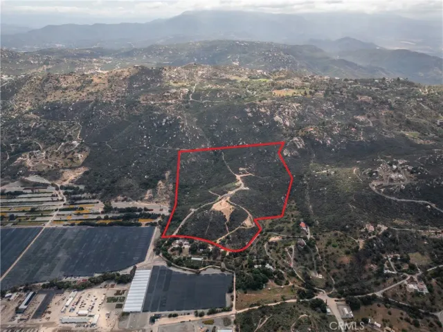 an aerial view of a forest