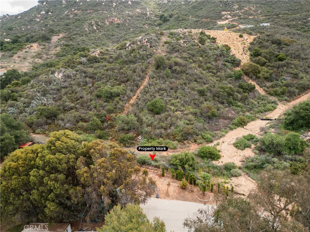 0 Jubilee Drive Fallbrook, CA 92028 - Photo 19 of 21 a close up of a tree