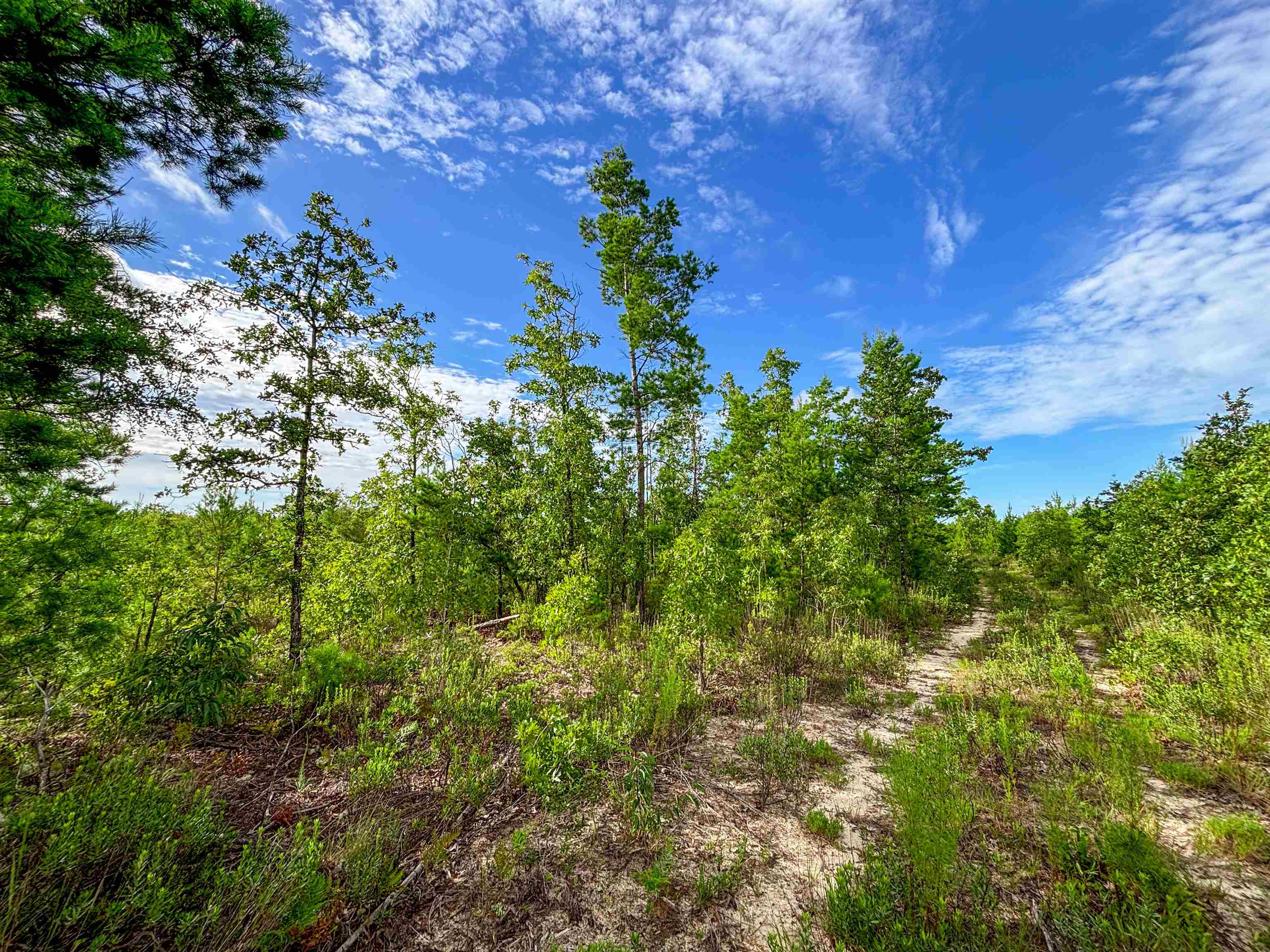 Tbd Tbd Baker Road Altha, FL 32421 - Photo 33 of 42 Gallery Image 33