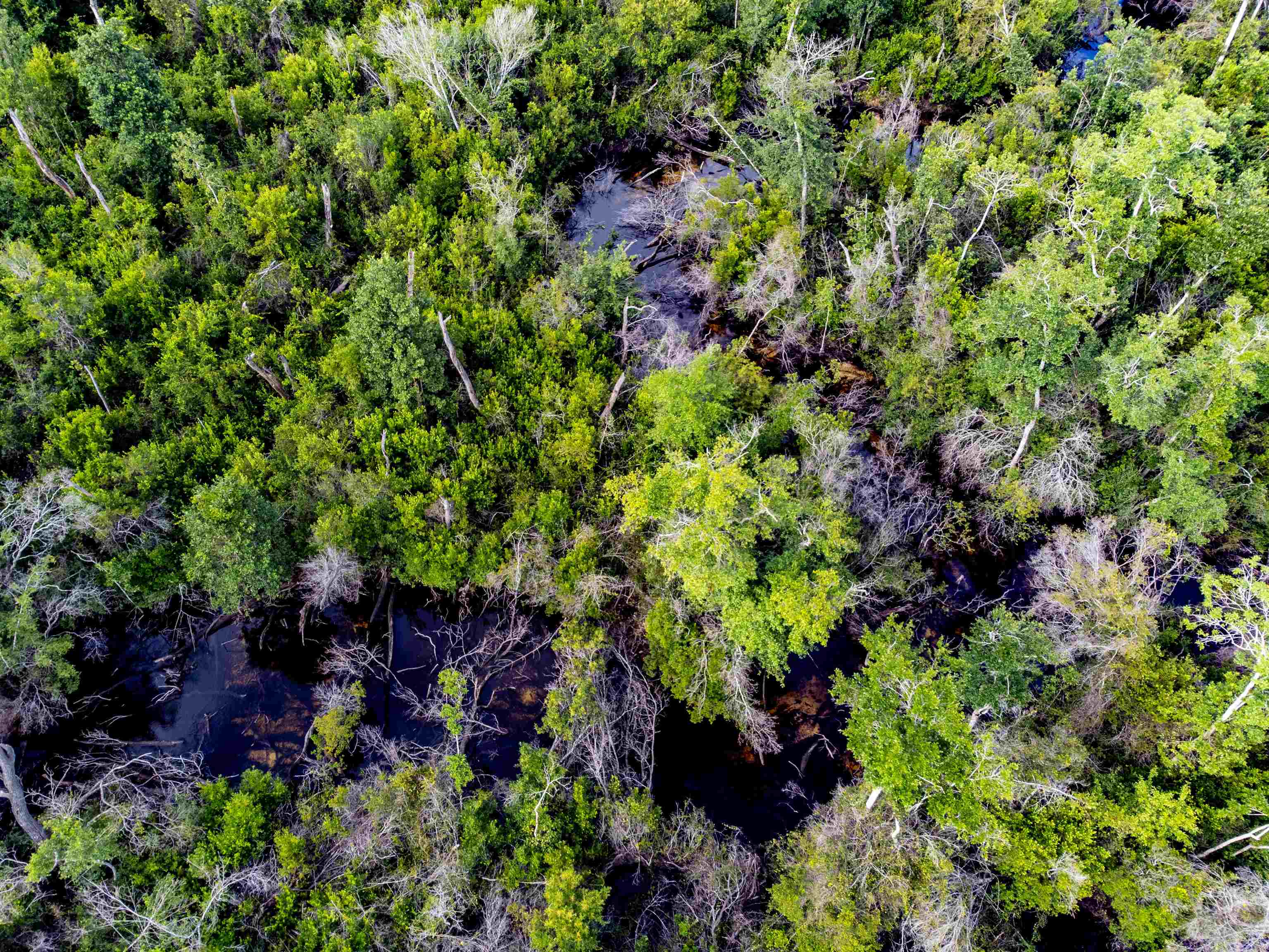Tbd Tbd Baker Road Altha, FL 32421 - Photo 42 of 42 Gallery Image 42