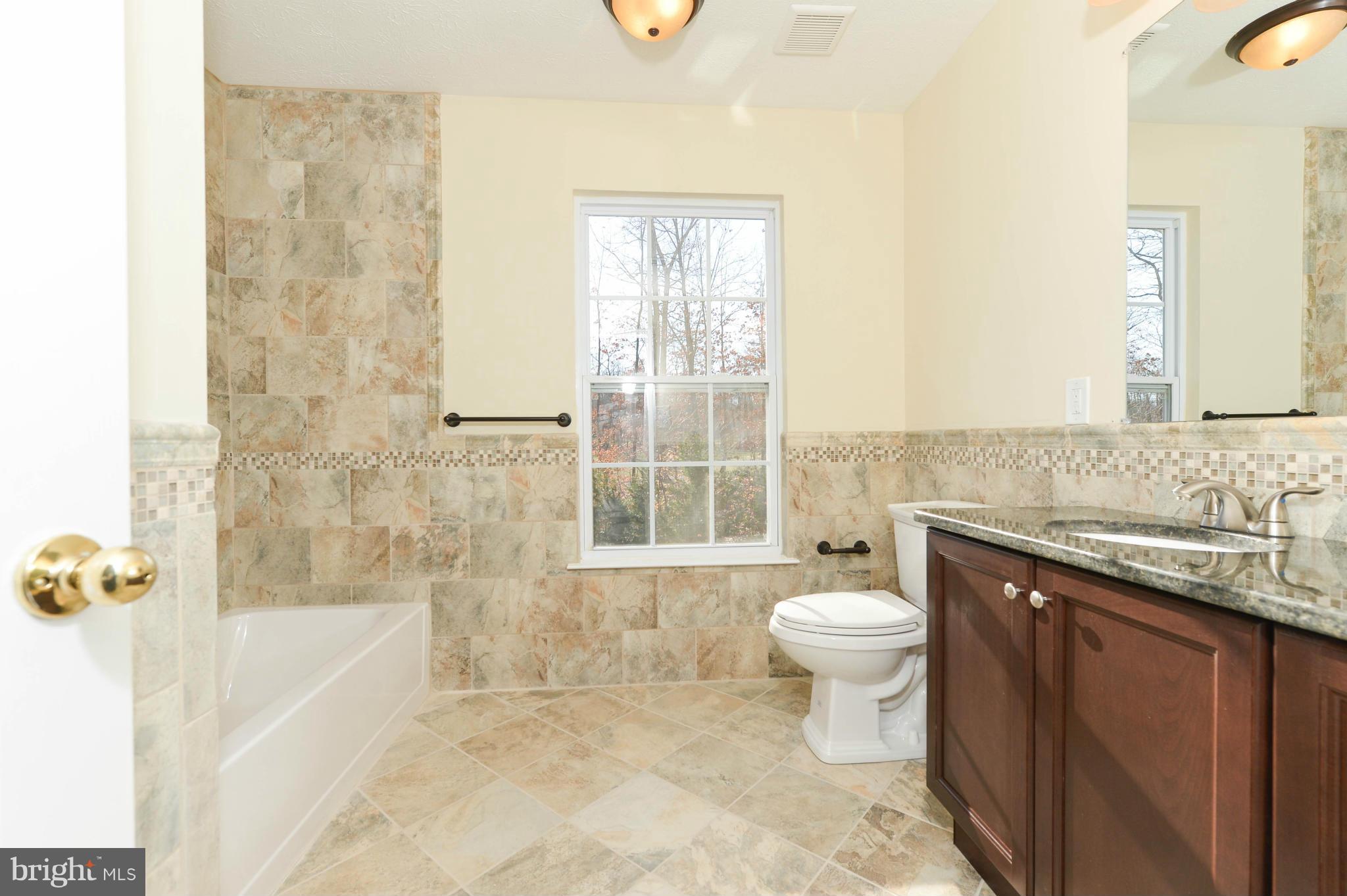 11 Henry Way Elkton, MD 21921 - Photo 17 of 29 Bath (Master)