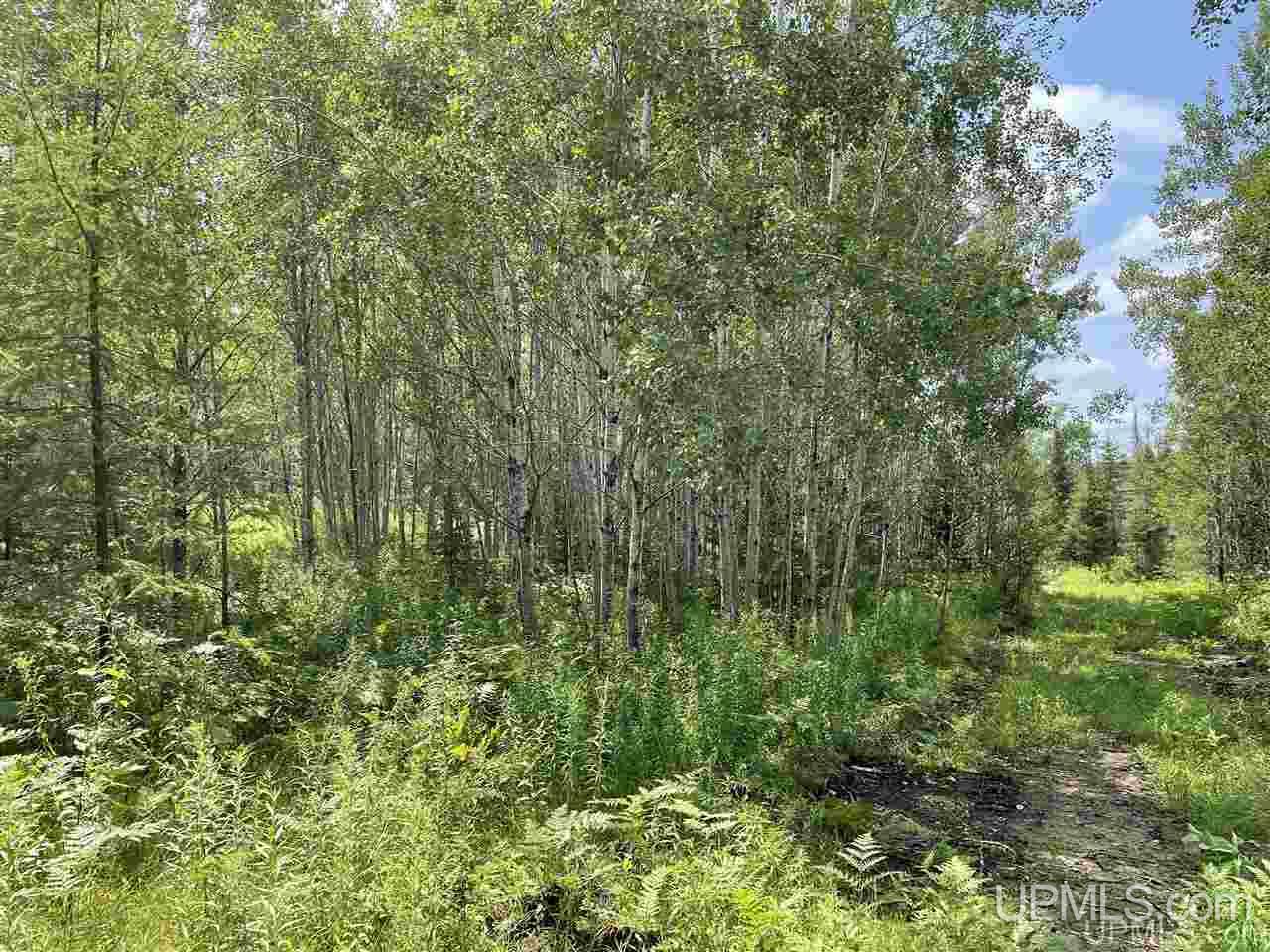 Tbd Off Nowack Road, Unit 1 Powers, MI 49874 - Photo 27 of 32