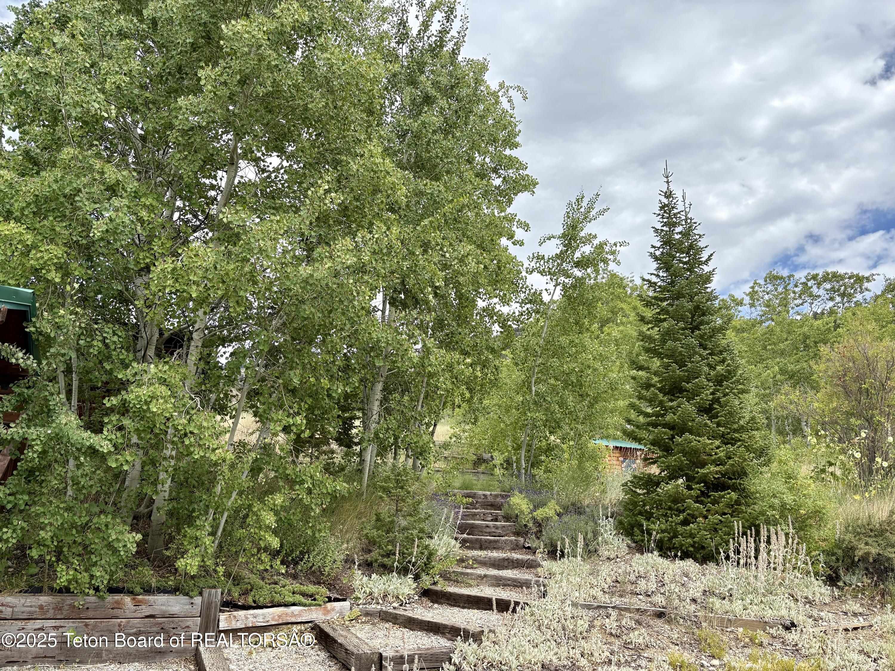 189 Choke Cherry Lane Irwin, ID 83428 - Photo 58 of 64 Spring