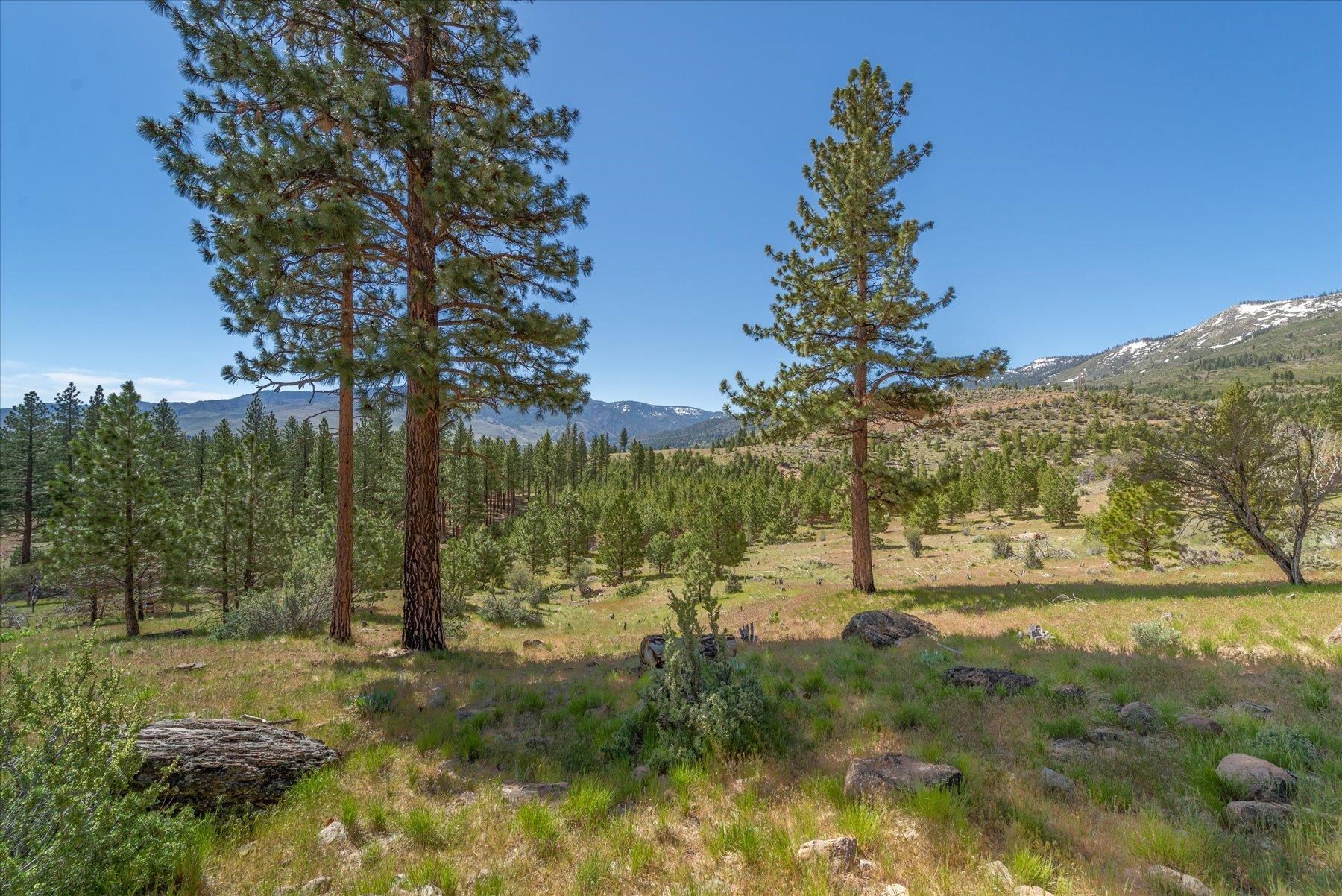 Feenune Road Loyalton, CA 96118 - Photo 13 of 28