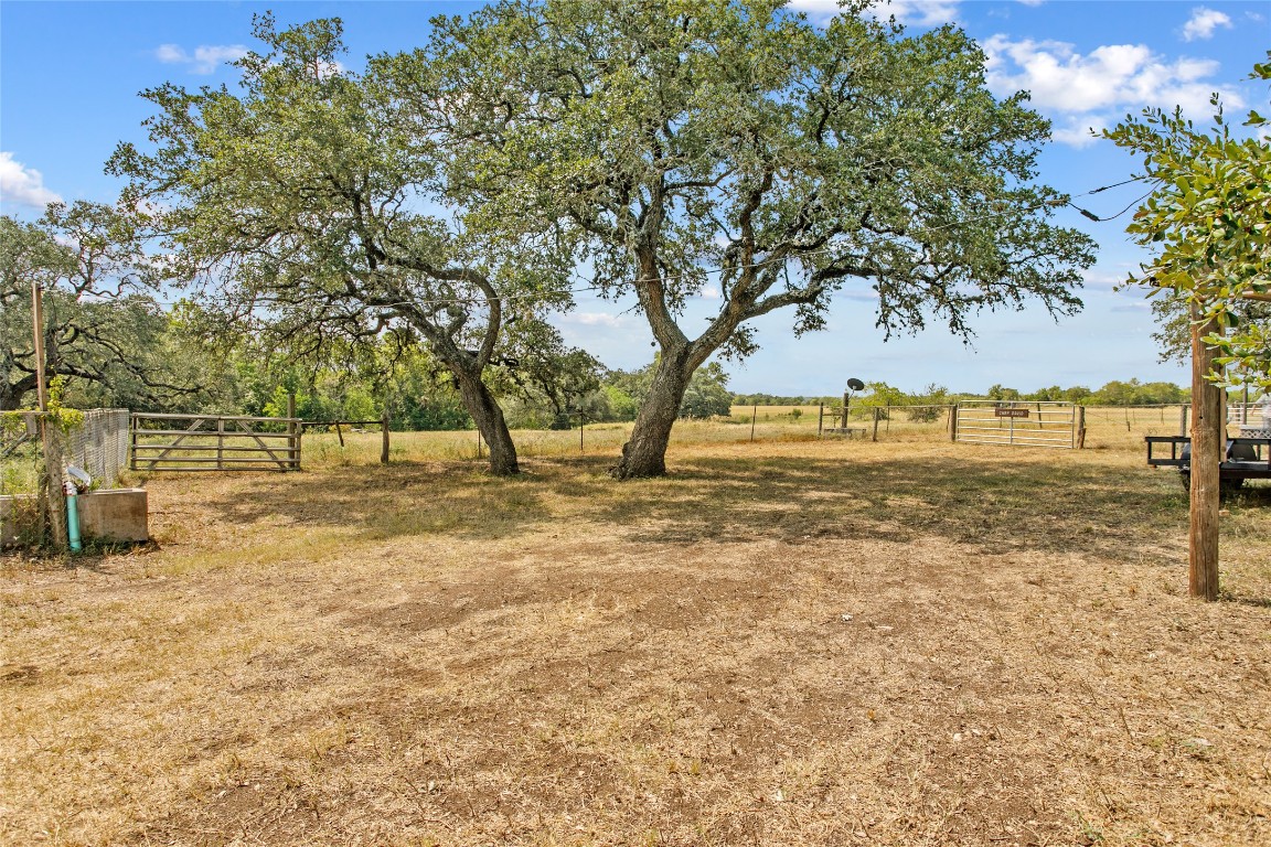 1408 State Park Road Lockhart, TX 78644 - Photo 21 of 38 a view of yard with trees