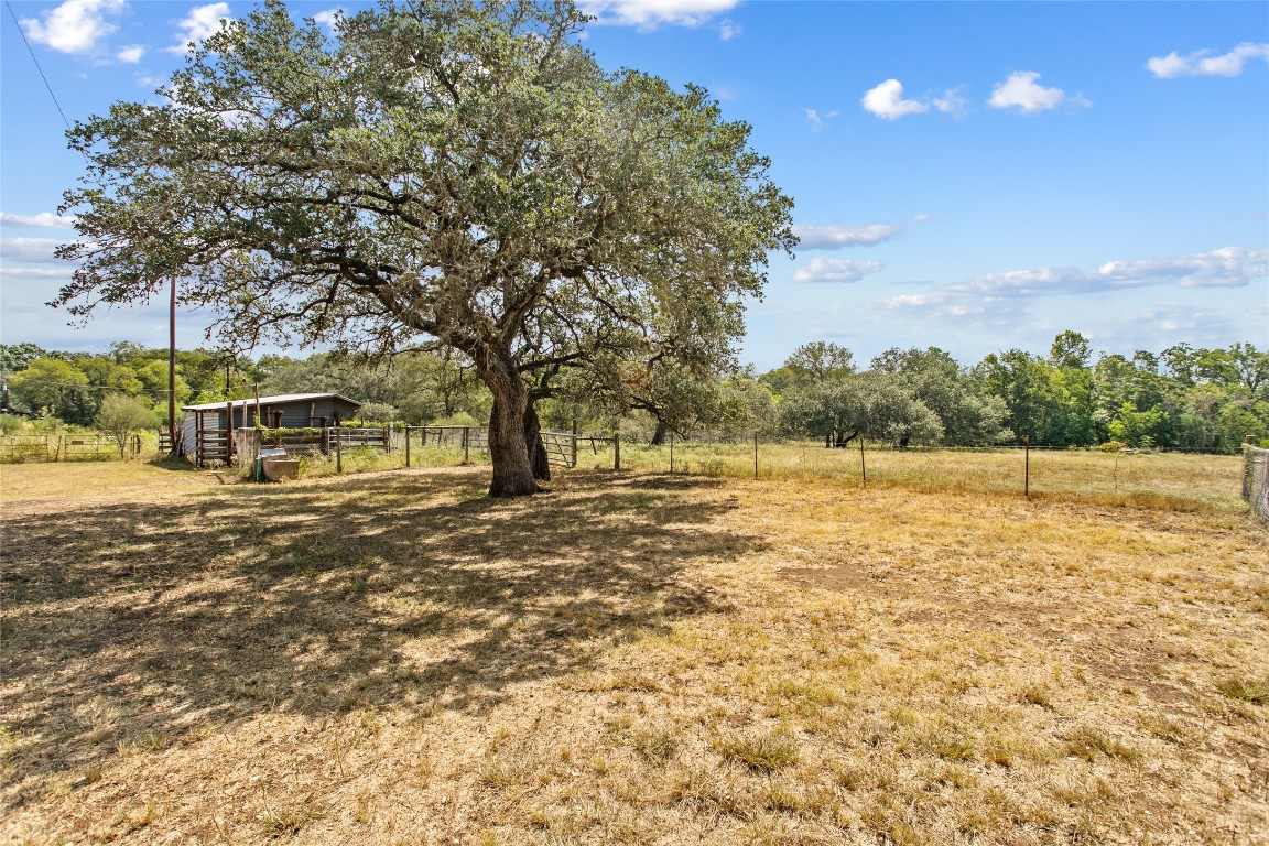 1408 State Park Road Lockhart, TX 78644 - Photo 24 of 38 a view of a yard with a tree