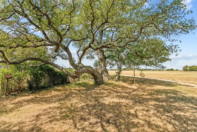 a view of a yard with a tree