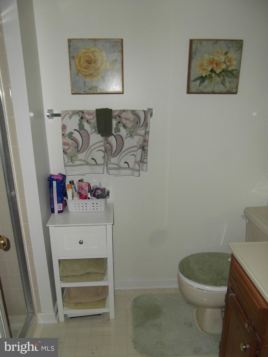 72 Laurel Path Court, Unit 3 Baltimore, MD 21236 - Photo 11 of 18 a bathroom with a toilet and a shower