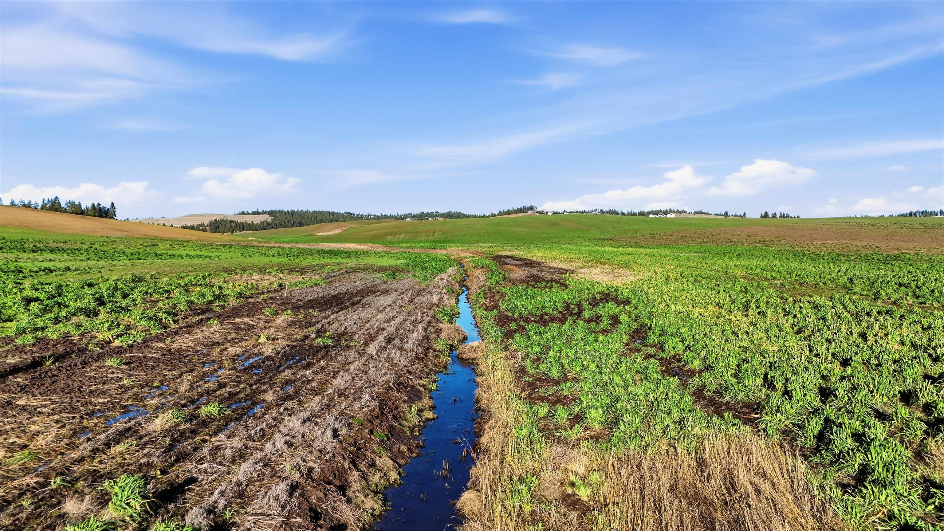 15237 East Belmont Road Mica, WA 99023 - Photo 11 of 19