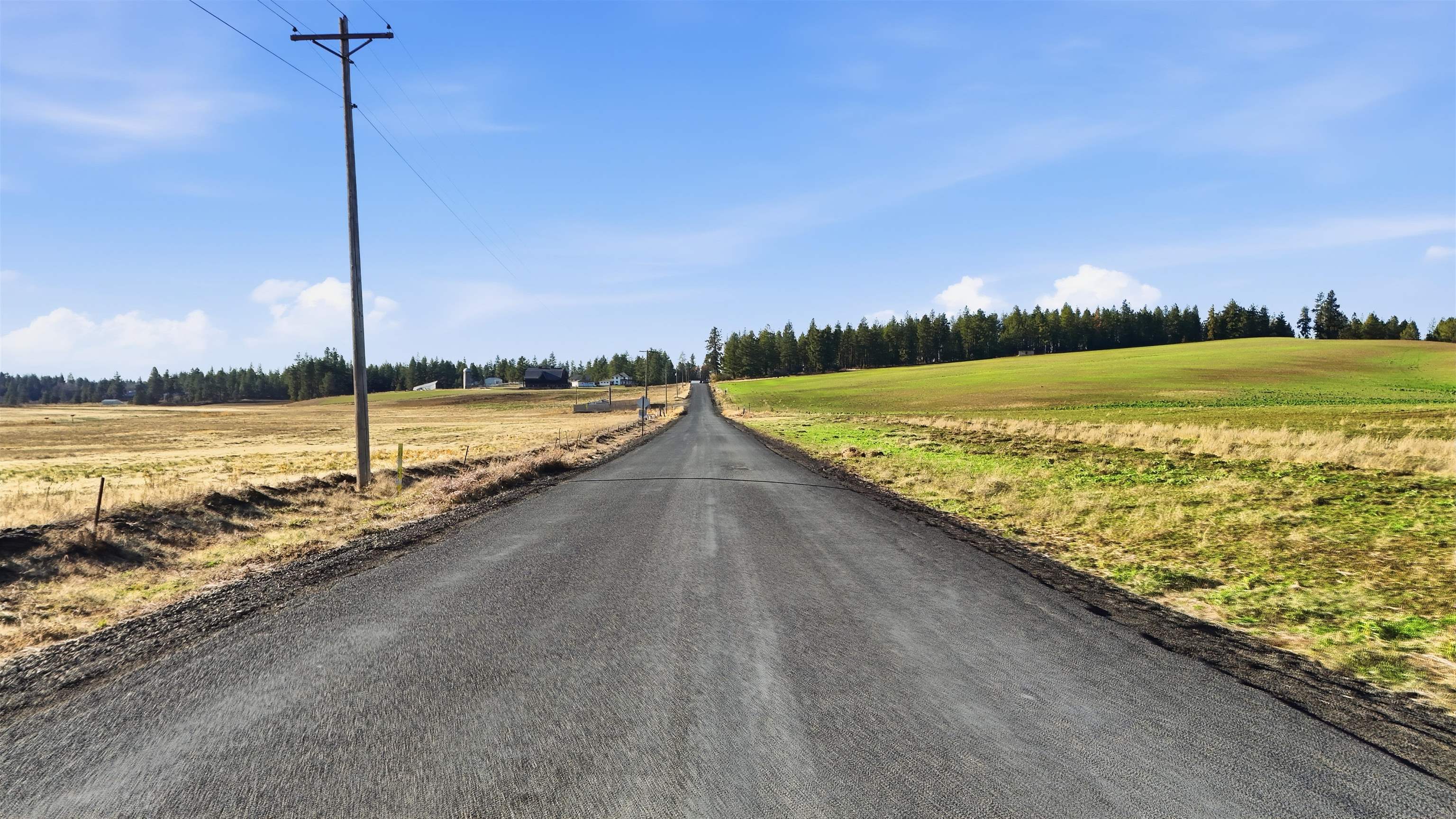 15237 East Belmont Road Mica, WA 99023 - Photo 12 of 19