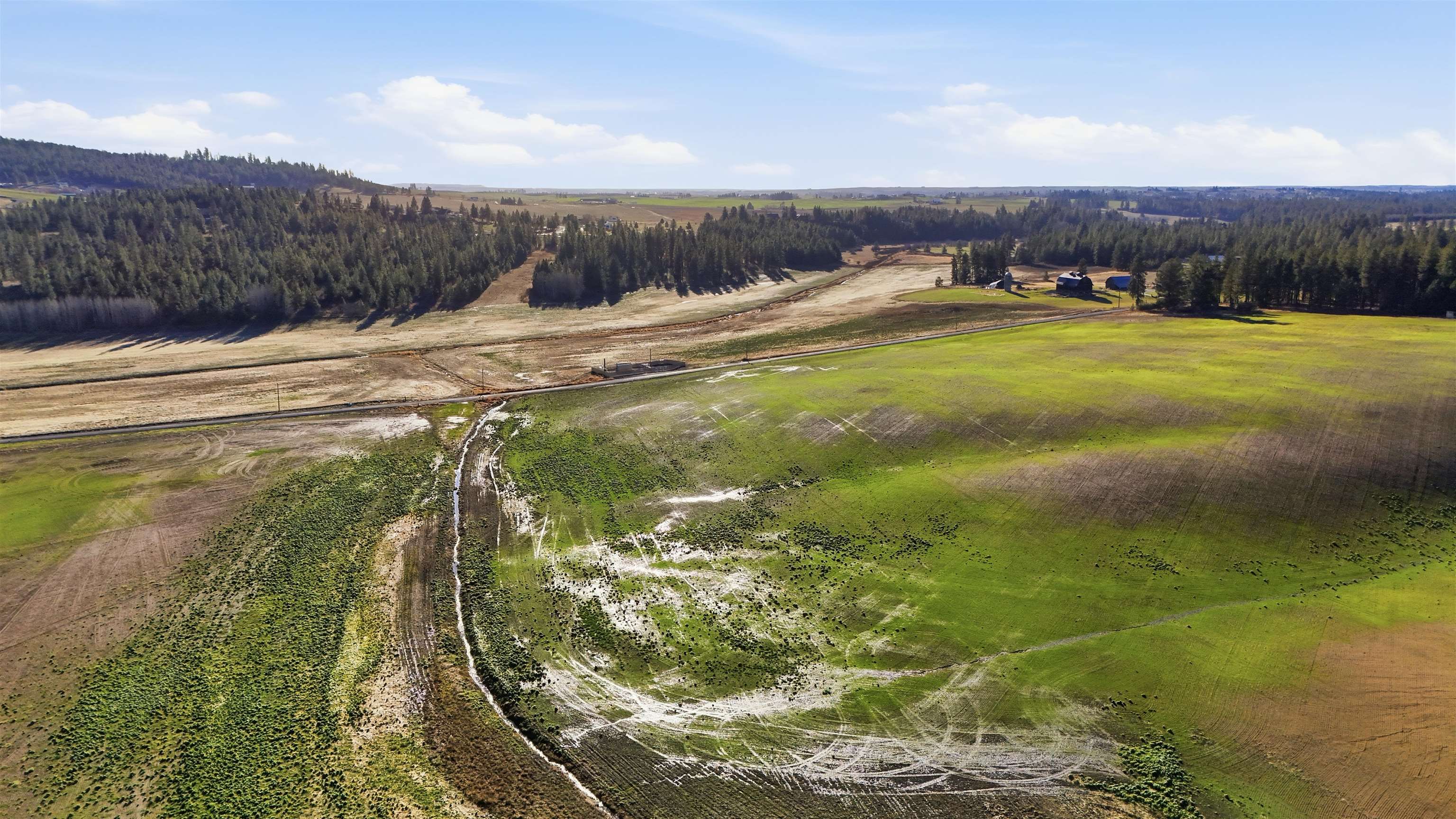 15237 East Belmont Road Mica, WA 99023 - Photo 15 of 19