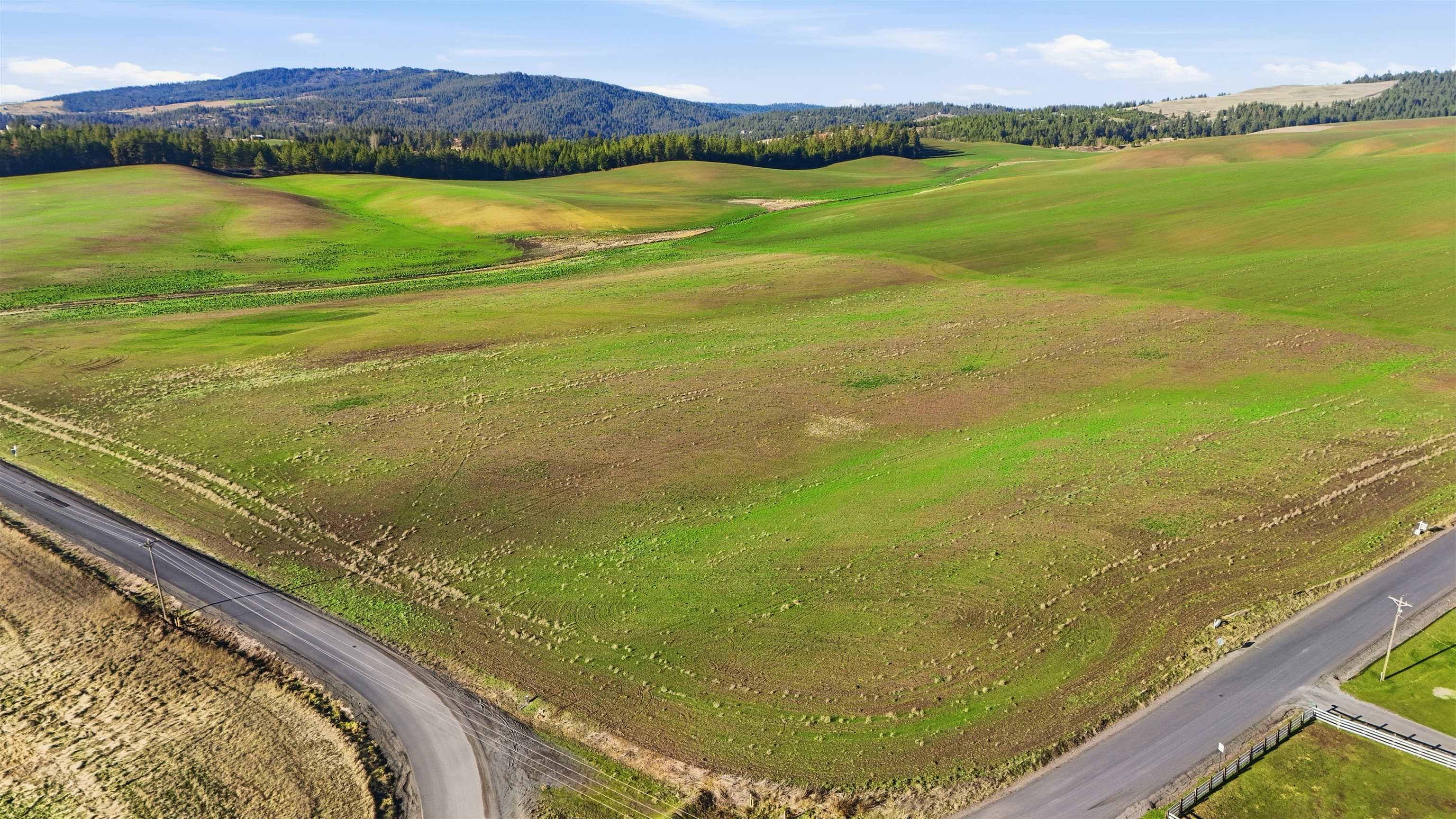 15237 East Belmont Road Mica, WA 99023 - Photo 16 of 19