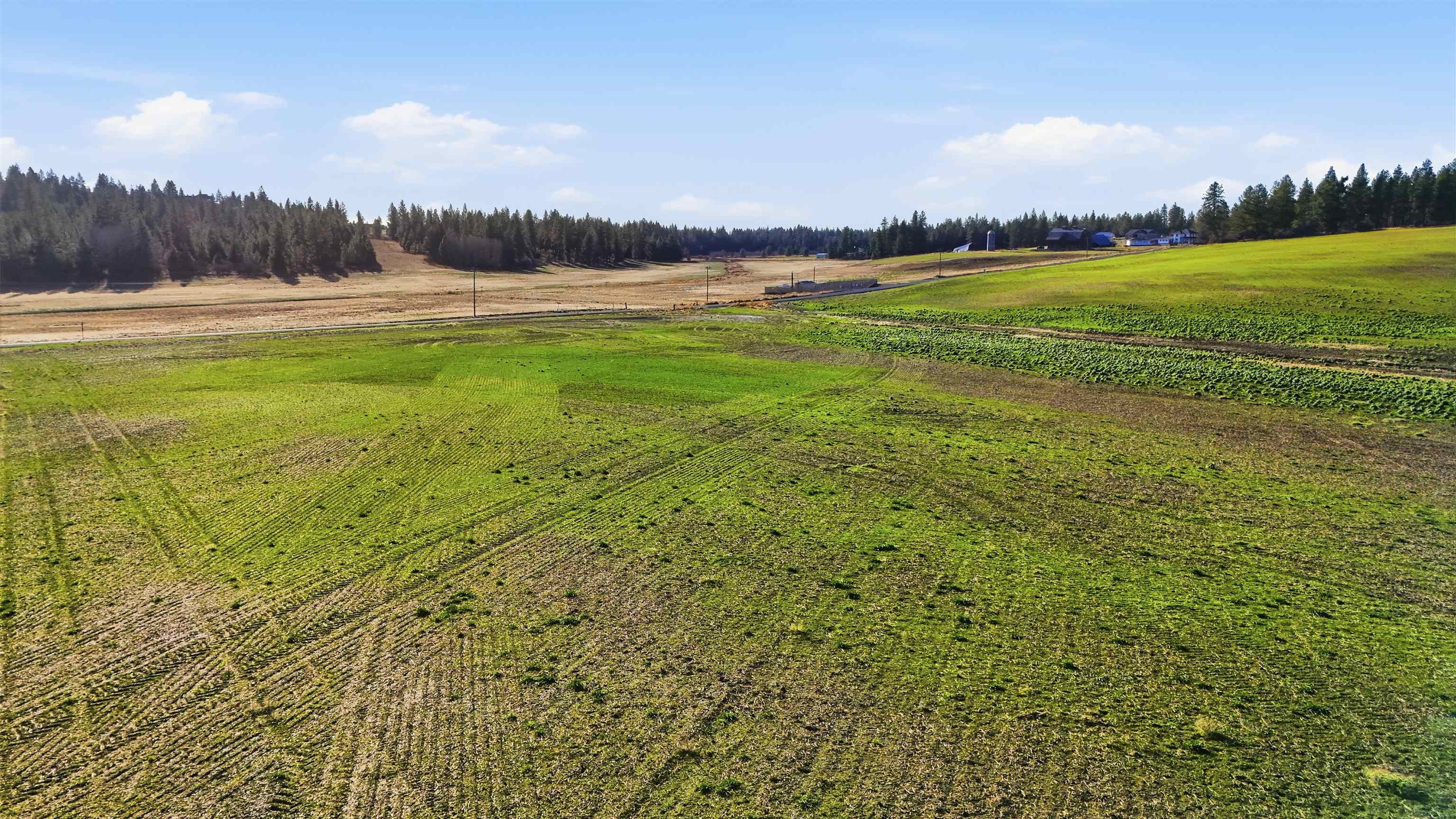 15237 East Belmont Road Mica, WA 99023 - Photo 6 of 19