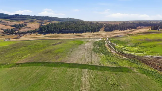 $249,500 | 15237 East Belmont Road, Mica, WA 99023